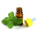 Hemp extract organic aromatherapy CBD essential oil peppermint oil CBD massage oil
